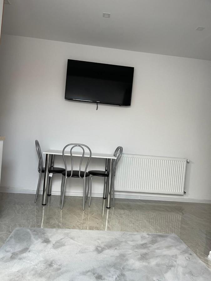 Cozy Apartament With 2Rooms Timisoara Exterior photo